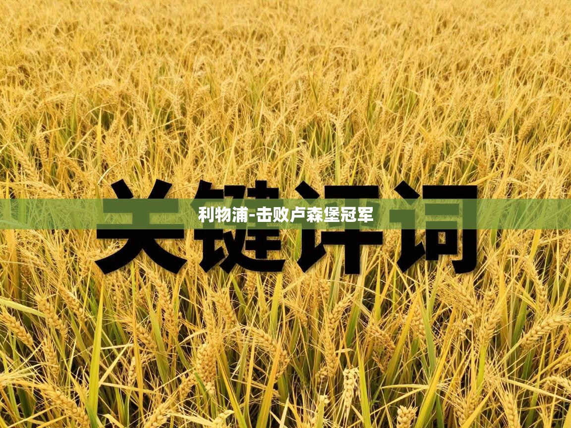 利物浦-击败卢森堡冠军  第1张