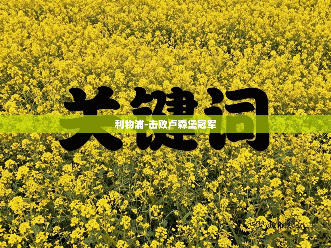 利物浦-击败卢森堡冠军  第2张